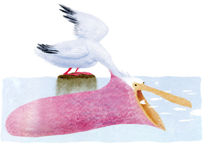 Жадный пеликан