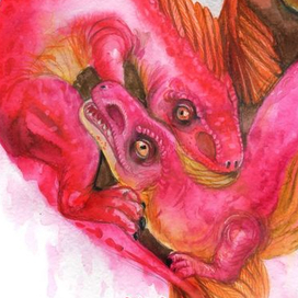 Тонкий лори