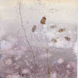 Ботанические зарисовки