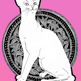 Белая кошка