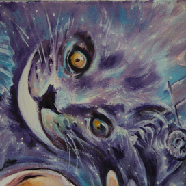 в стране Чудес