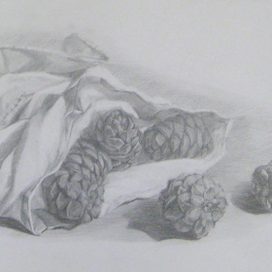 Рисунок Шишки