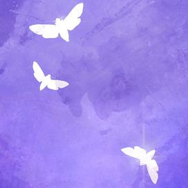 Полночь (дополнение к иллюстрации)