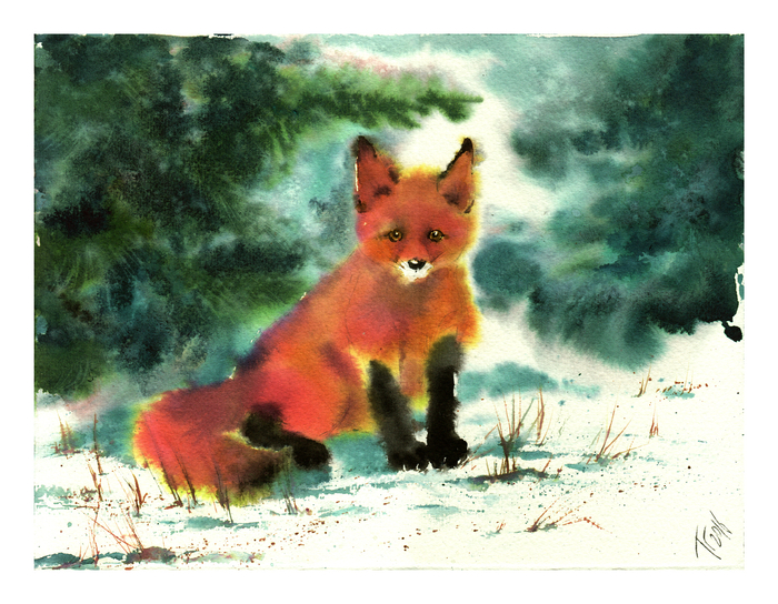 Зима пришла?