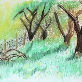 Одуванчиковое поле