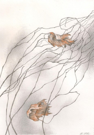 отражение, силуэты