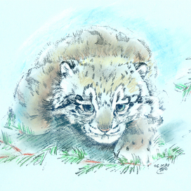 День снежного барса. Барсятки