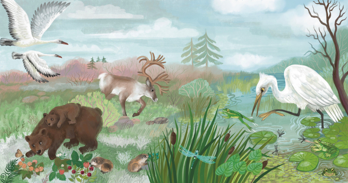 Кто где живёт. Издательство Робинс