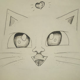 🐱