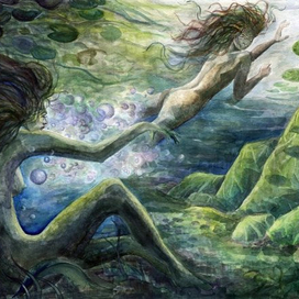 Солнечный день в краю водяных лилий