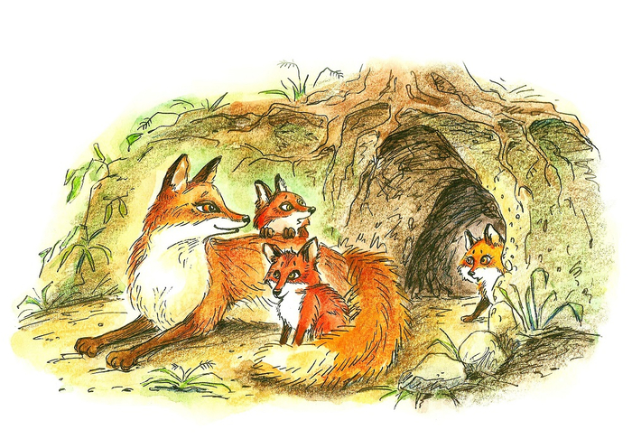 иллюстрация к книге Лилии Ёж "Златинка"