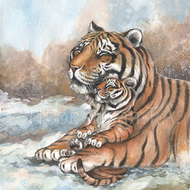 Тигрица и тигренок