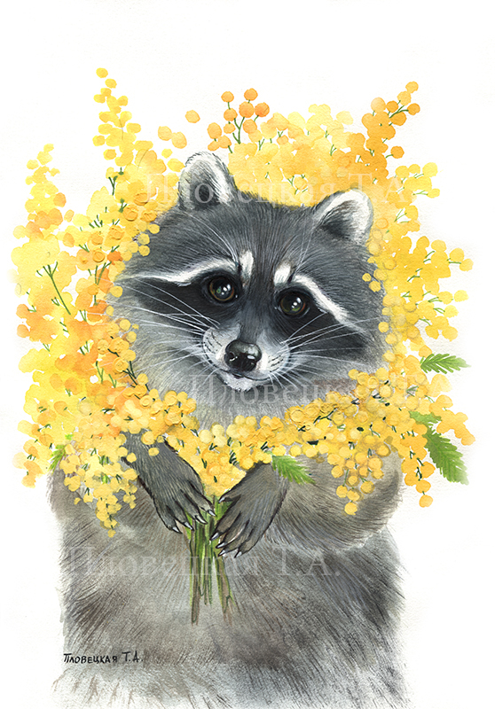 Енот - весеннее солнышко из мимозы