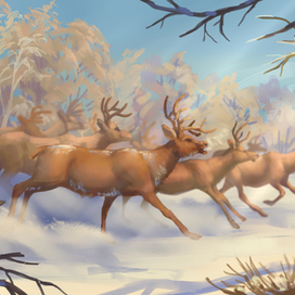 Первые солнечные дни