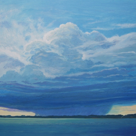 Тучи над Амазонкой