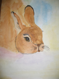 Кролик Дидро