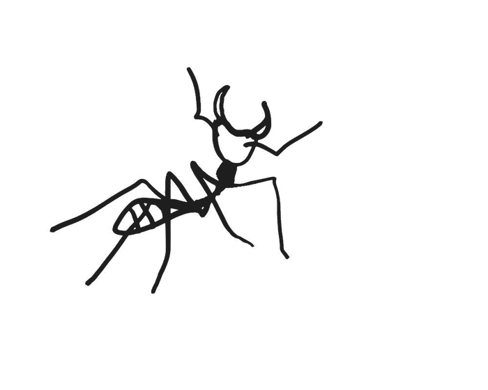 Ant