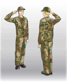 Честь имею)