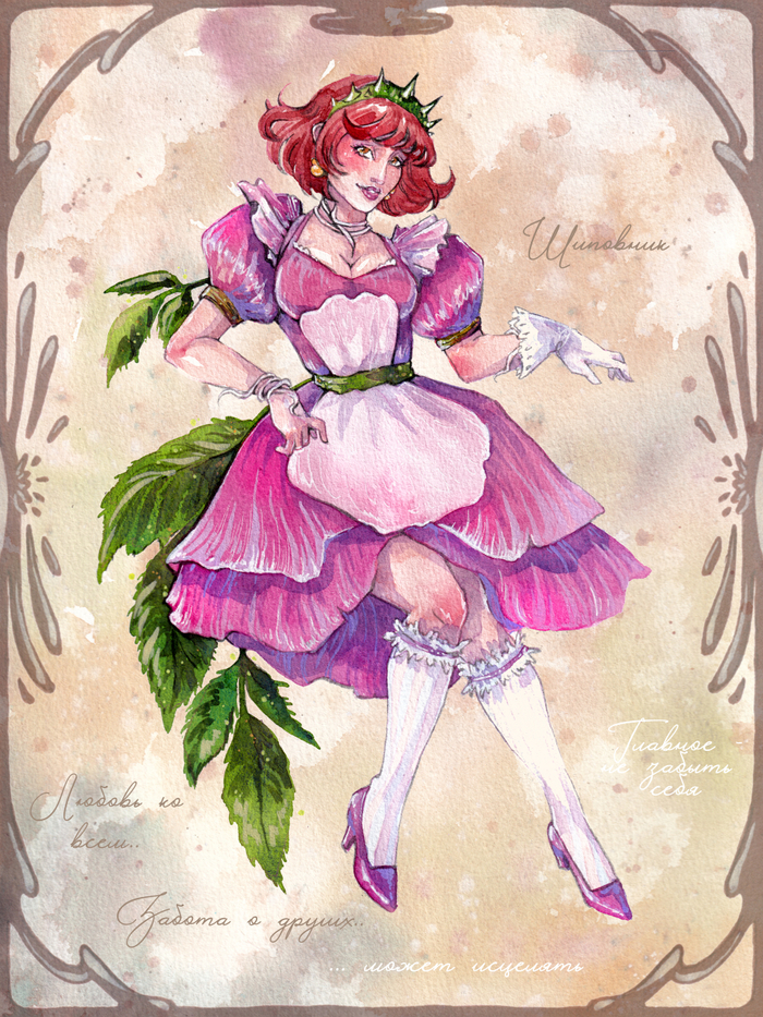 Серия "Парфюмерный дневник"