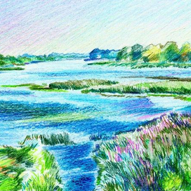 Днепровские плавни