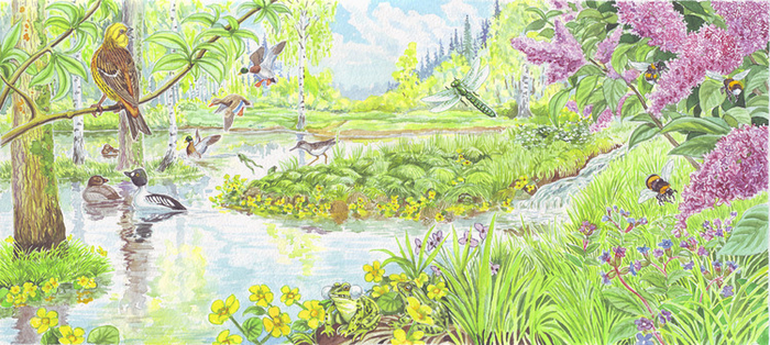 Весна-красна