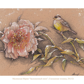 Заснеженный пион