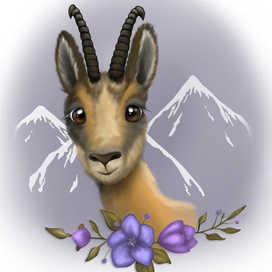 Кавказская серна