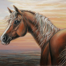 Теплый вечер