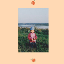 Зин " кулинарная книга забытых рецептов"