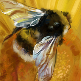 пчелка