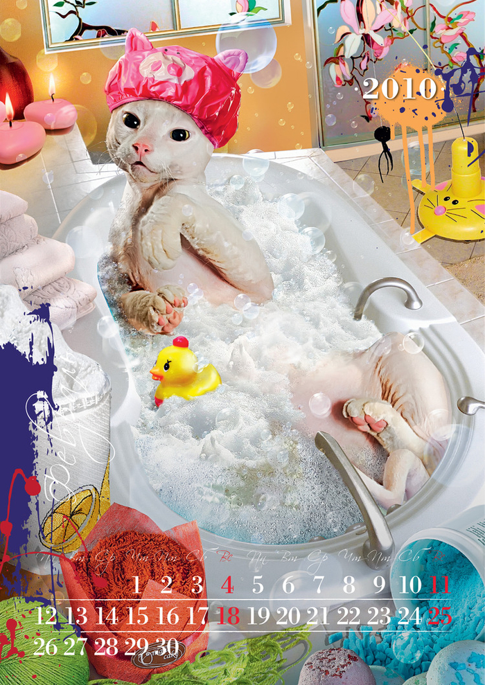Календарь «Год кота»