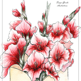 гладиолусы