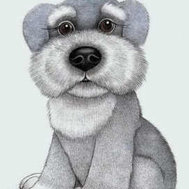 щенок шнауцера