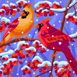 зимние кардиналы