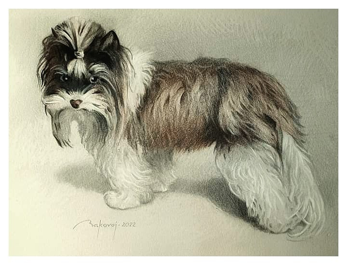 ,,Здрасти, меня зовут Лиана...!,,