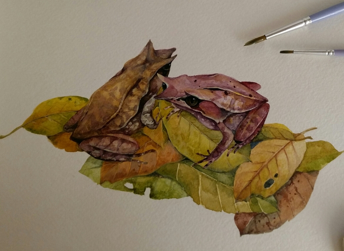 Лягушки- рогатые чесночницы.