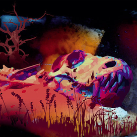 Inspiration from the works of Carl Jara