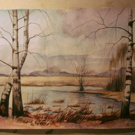 пейзаж с берёзами