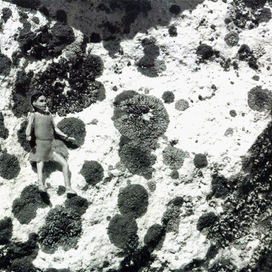 кадр 6 .Жители камней