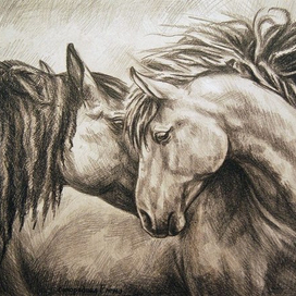 Шёпот сердца