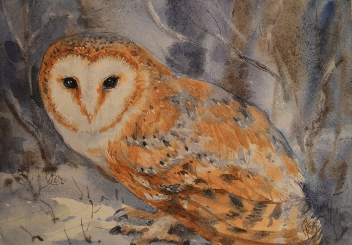 Сова сипуха