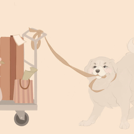 Иллюстрация к произведению С.Маршака "Багаж"