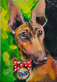 Портрет домашнего питомца