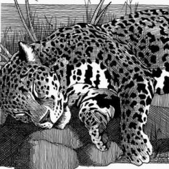 СЕМИРАМИДА. 13-Ф