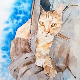 В надёжных руках