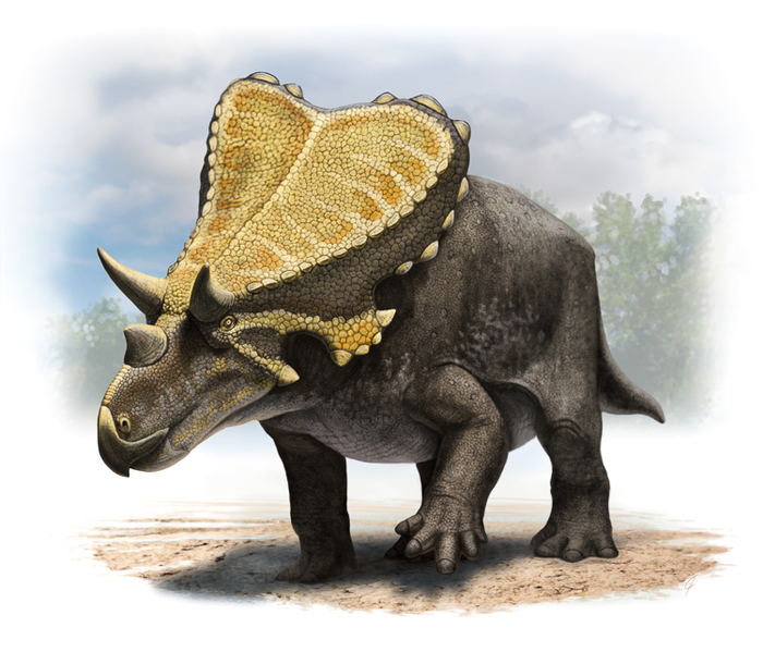 Mercuriceratops