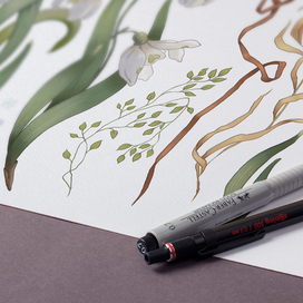 Подснежники