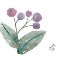 Иллюстрации лесных ягод