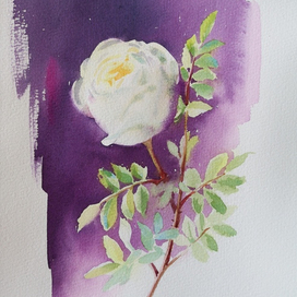 "Веточка розы"