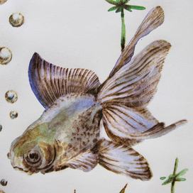 Золотая рыбка